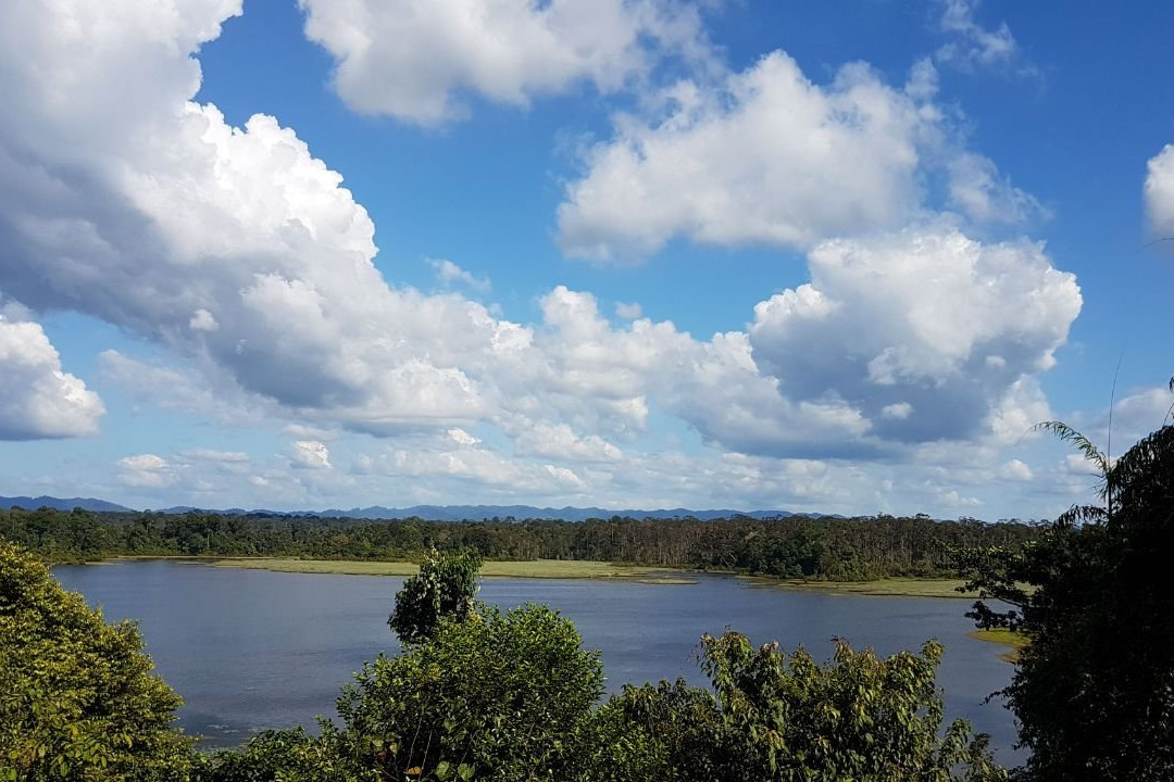 Taman Warisan Tasek Merimbun景点图片