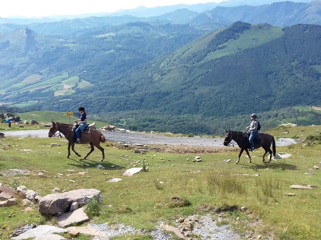 Centre de Tourisme Equestre Larrun Alde景点图片