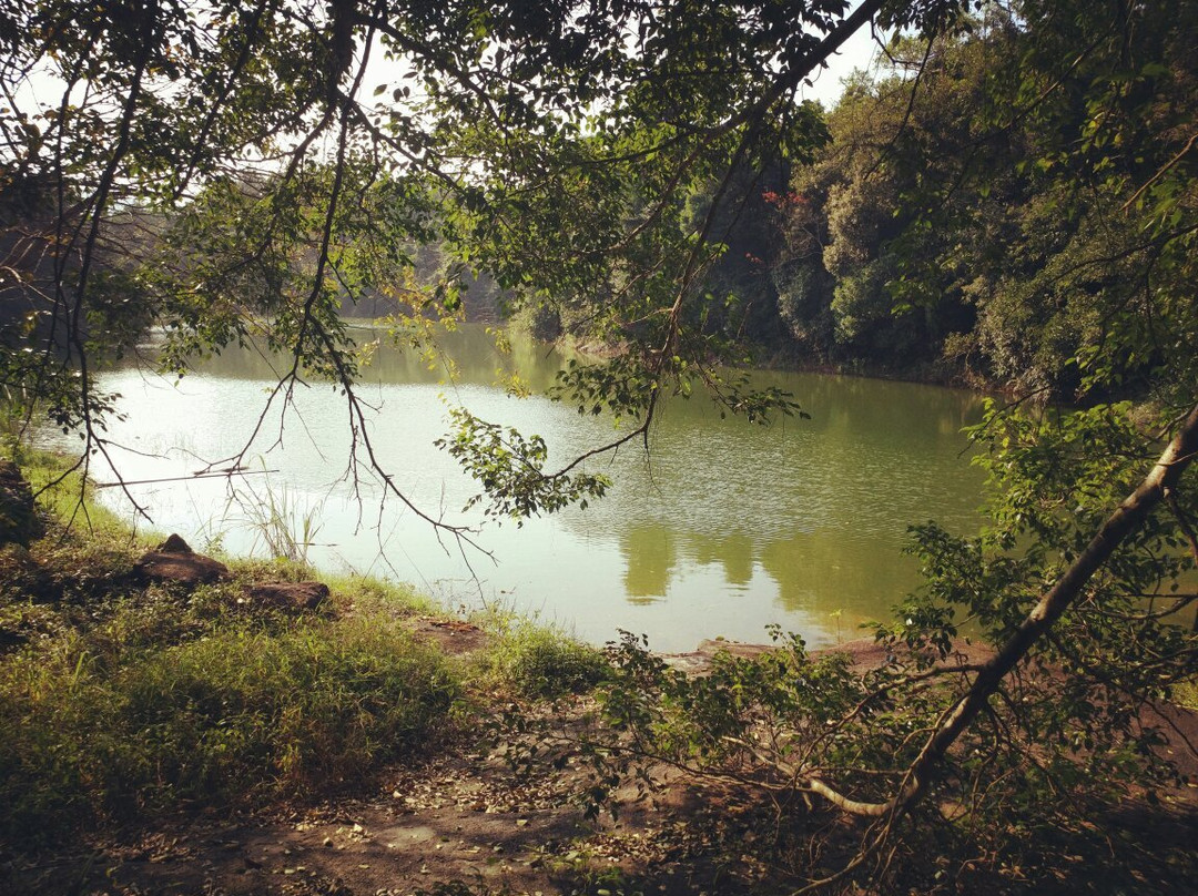 兴隆热带花园-万宁市必去景点