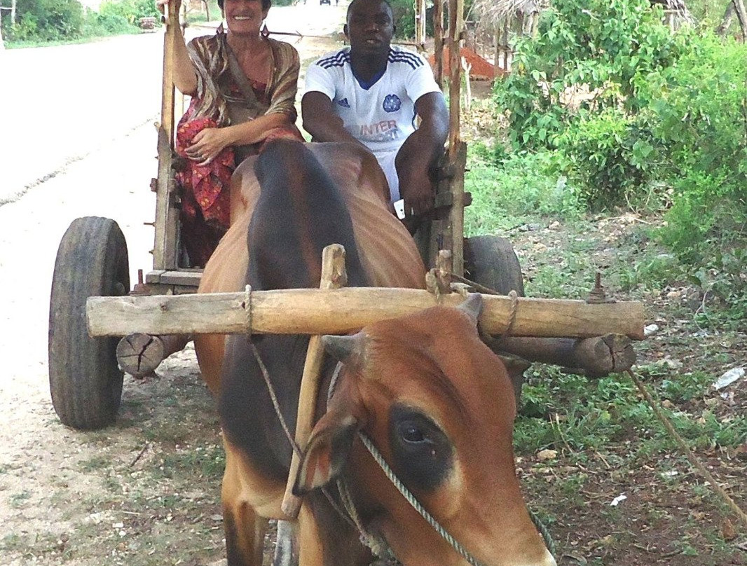 Marimba Cultural Tours Ltd.-桑给巴尔市必去景点