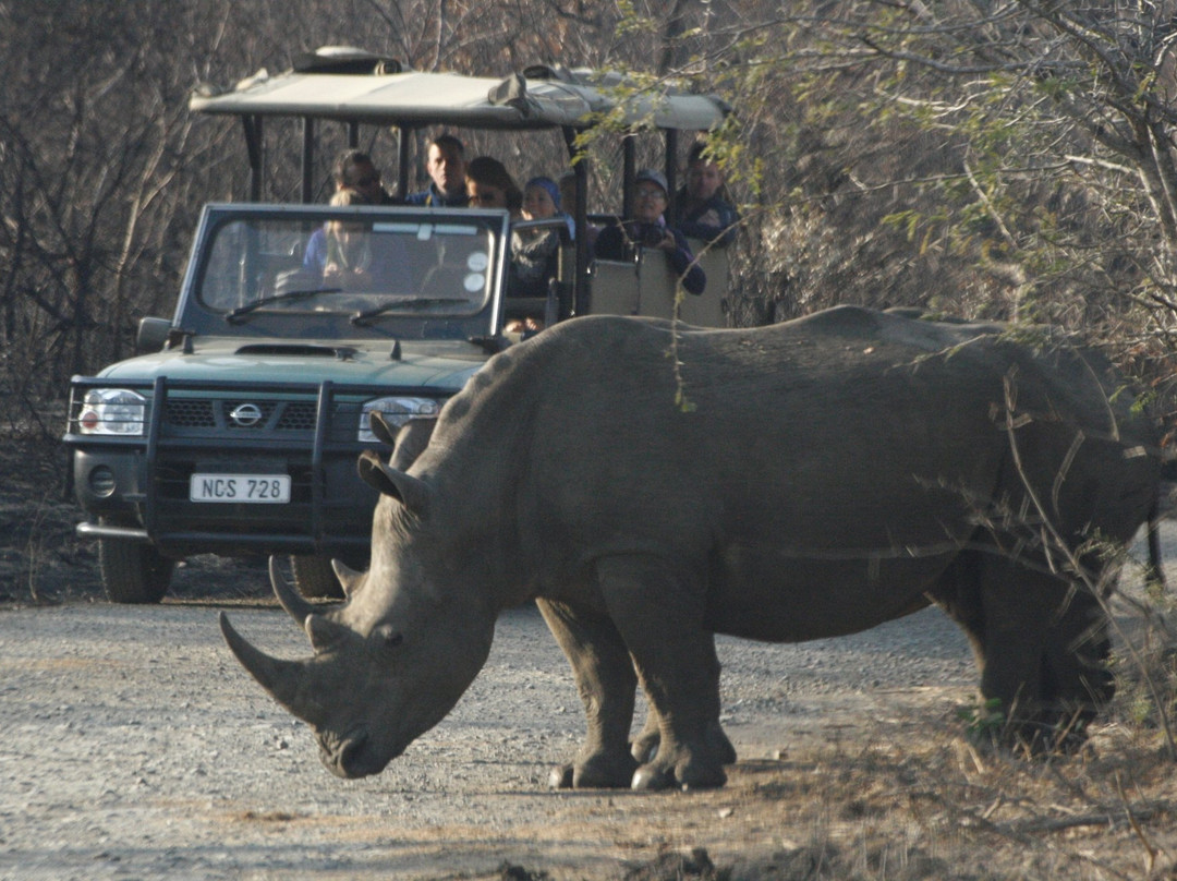 Zulu Sun Safaris-圣露西亚必去景点