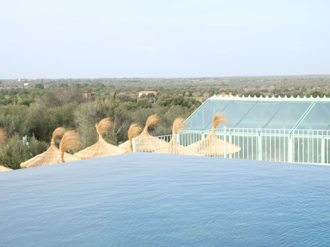 Es Turo Finca Hotel Rural主图