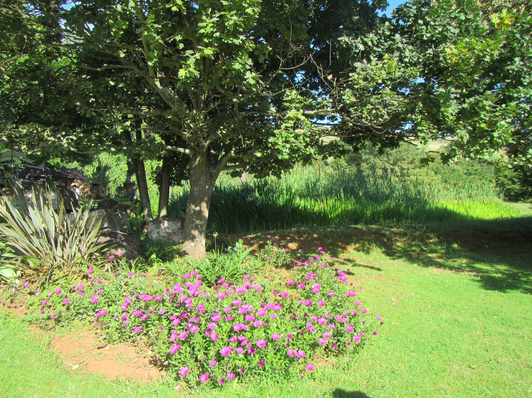 Walkersons Hotel & Spa主图