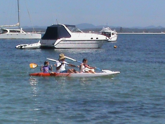 Nowra Kayak Hire景点图片