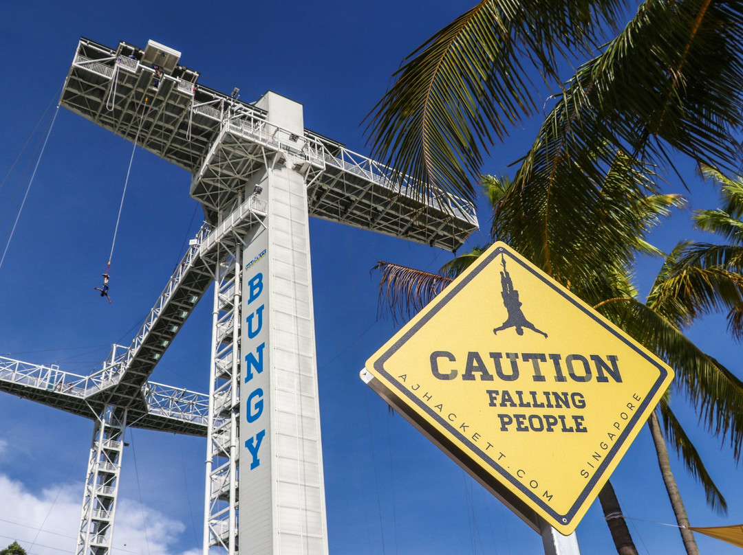Skypark Sentosa by AJ Hackett-新加坡必去景点
