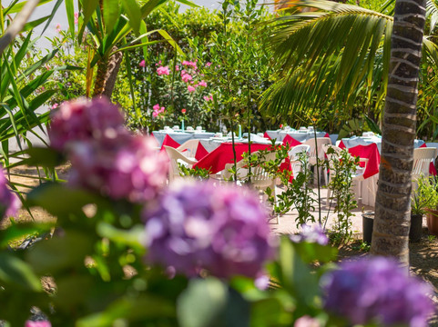 金字塔酒店主图