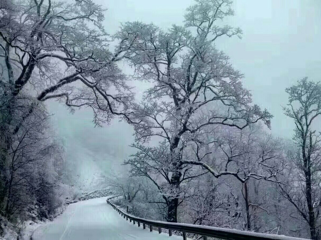 雪缘饭店主图