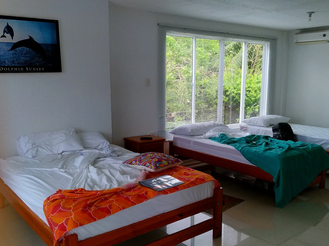 Miss Francia´s Home主图