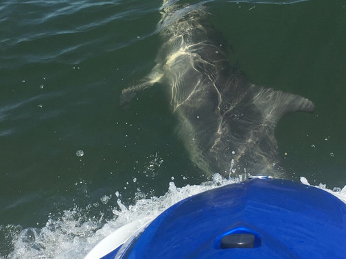 Stag Watersports-曼杜拉必去景点