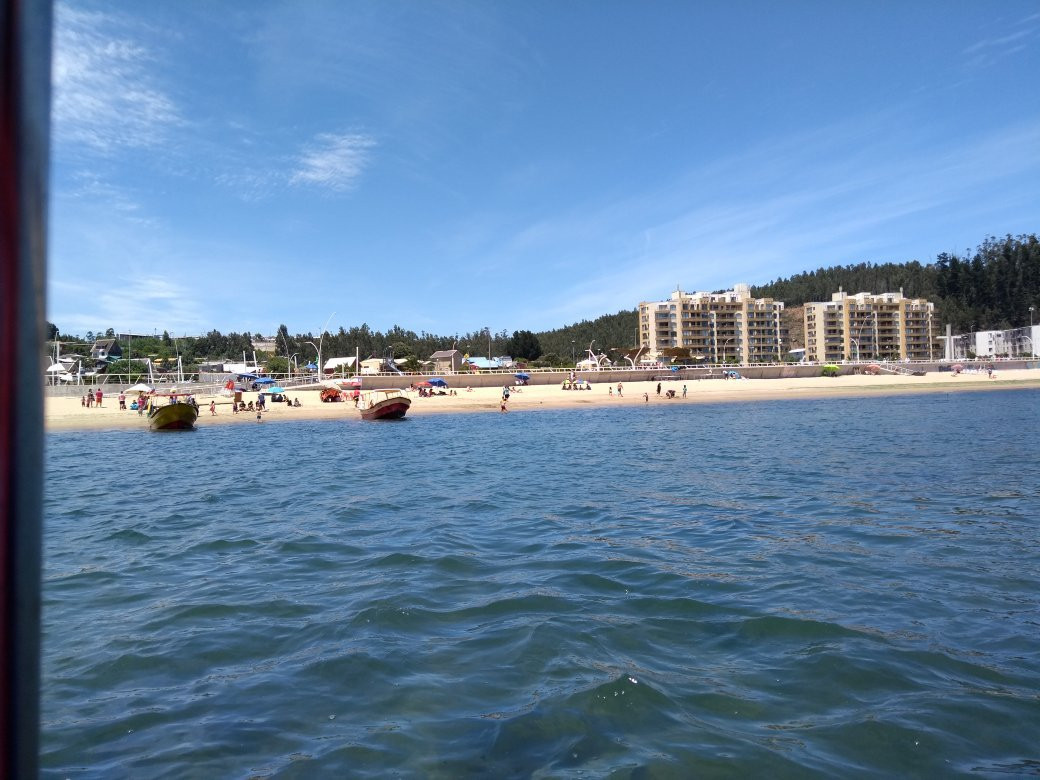 Playa de Dichato-Dichato必去景点