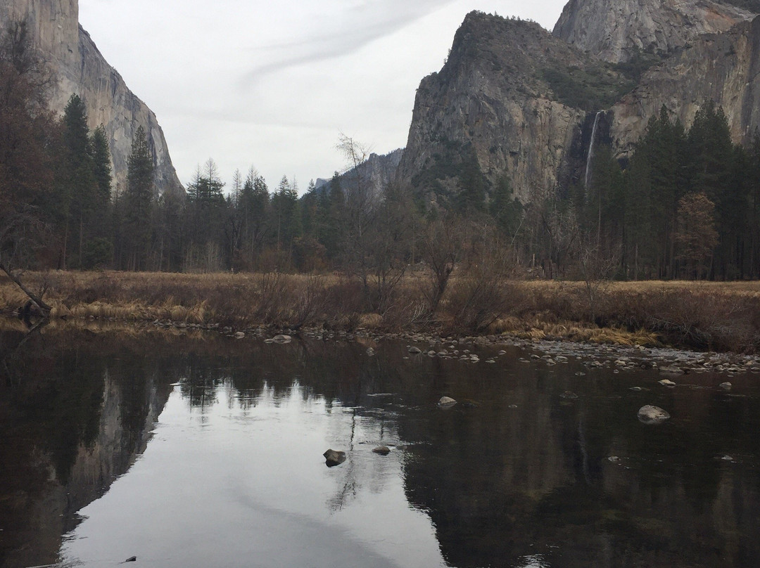 Yosemite Private Tours-优胜美地国家公园必去景点