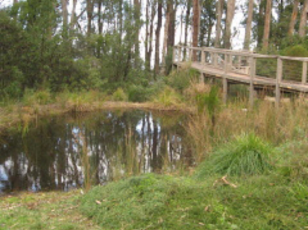 Karwarra Australian Plant Garden-Kalorama必去景点