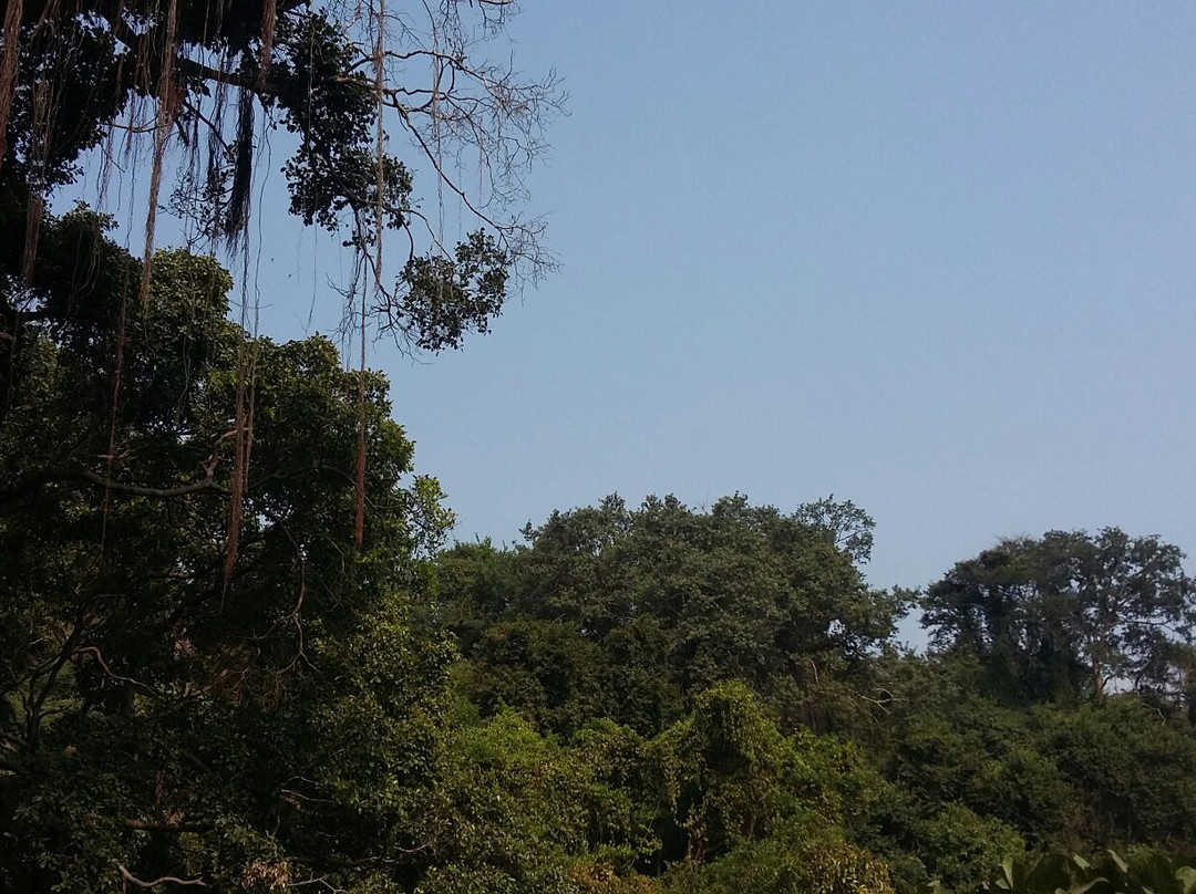 Phaladhara Panchadhara景点图片