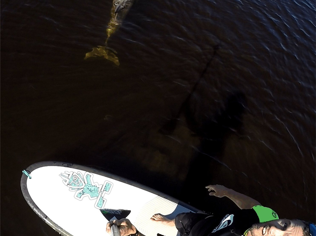Sunset Stand Up Paddleboards景点图片