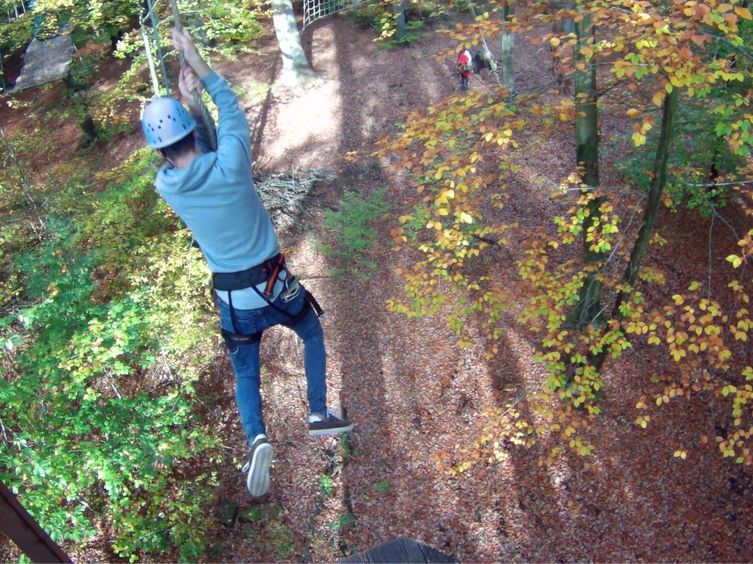 Fun Forest Abenteuerpark Kandel景点图片