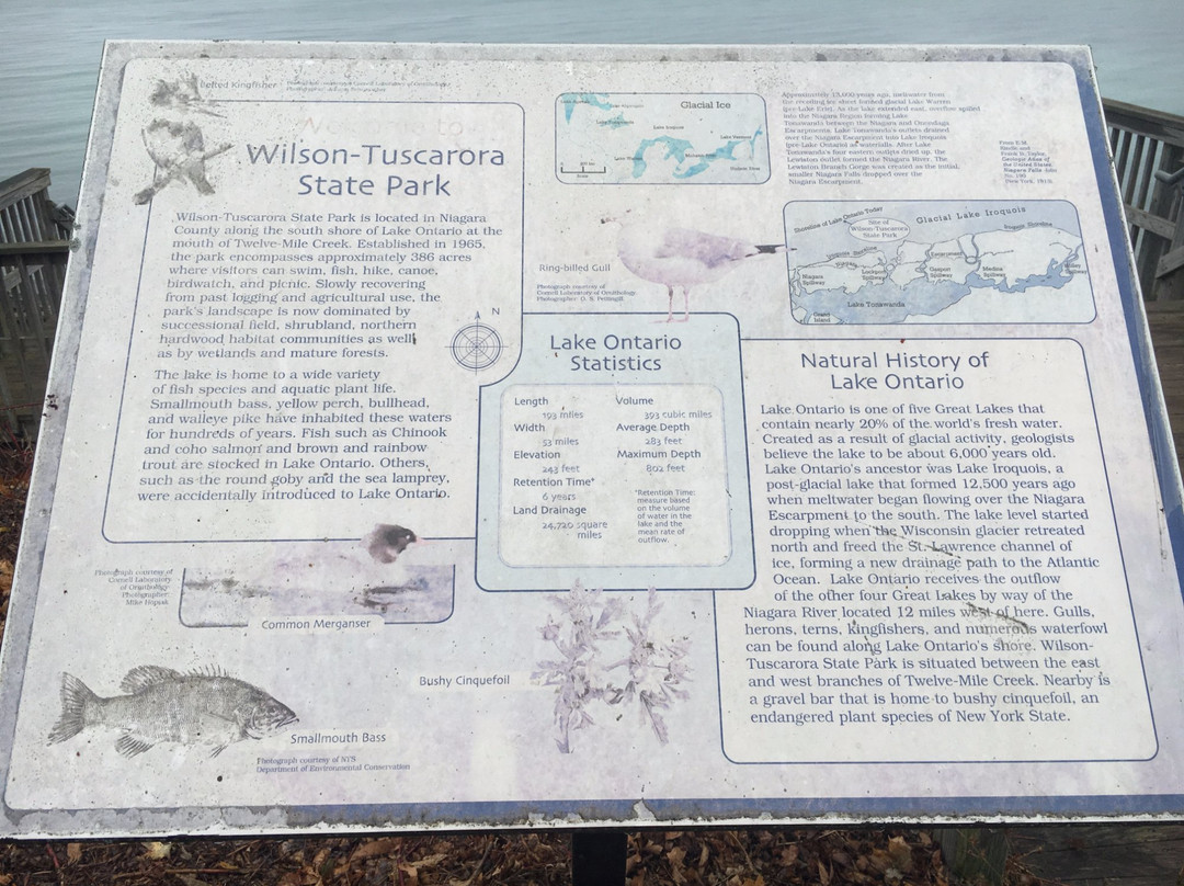 Wilson-Tuscarora State Park景点图片