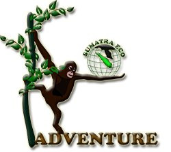 Sumatra Eco Adventure-武吉拉旺必去景点