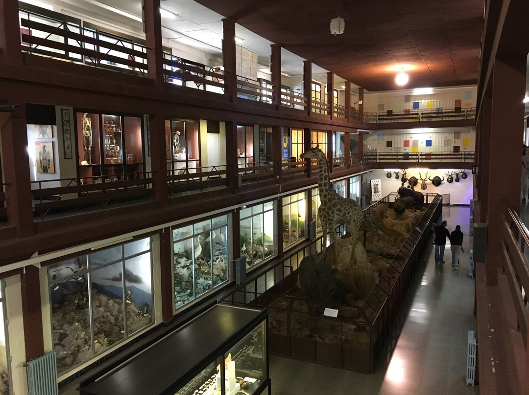 Museo de Ciencias Naturales El Carmen景点图片
