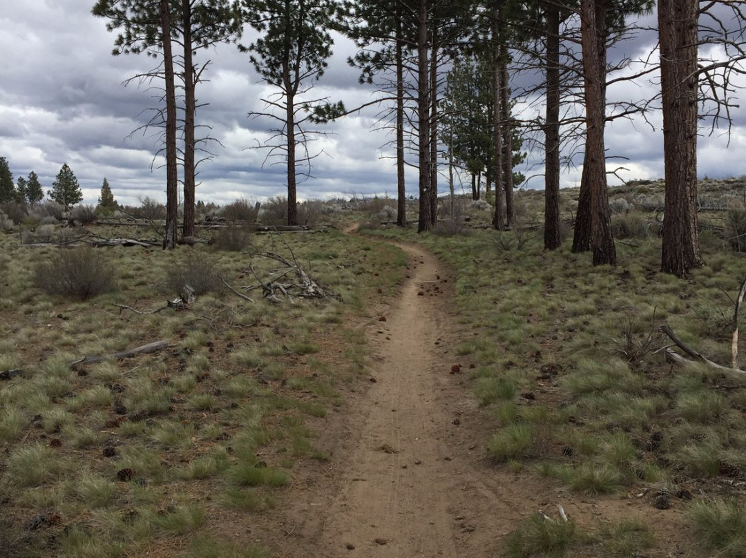 Boyd Cave-本德必去景点