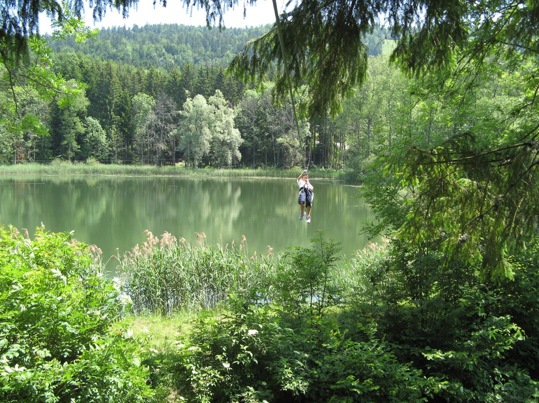 Parcours Aventure du Bugey-Hauteville-Lompnes必去景点