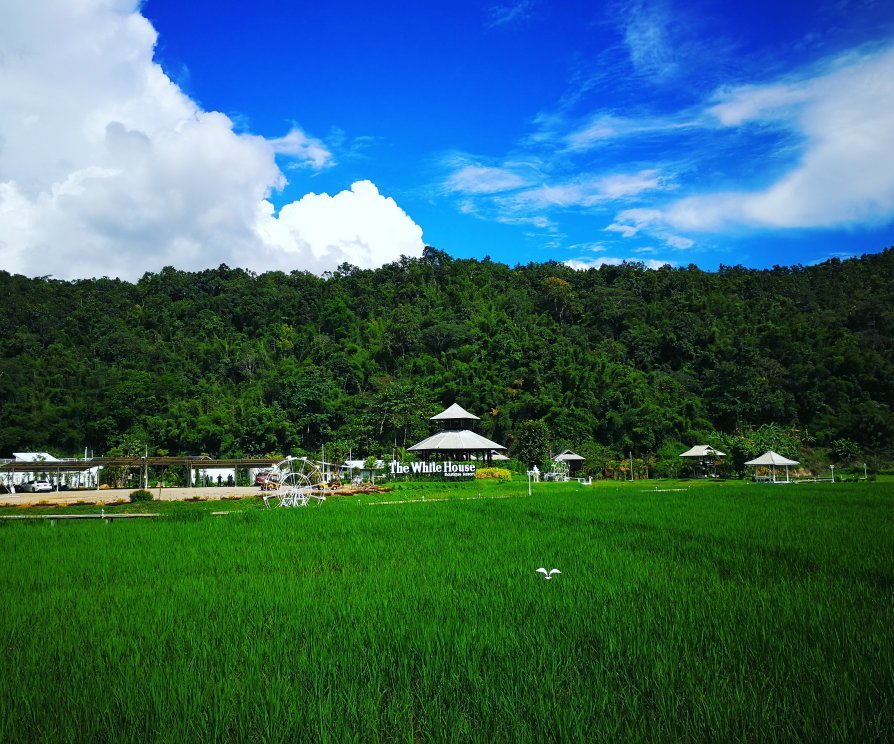 The White House Boutique Chiangrai-官方