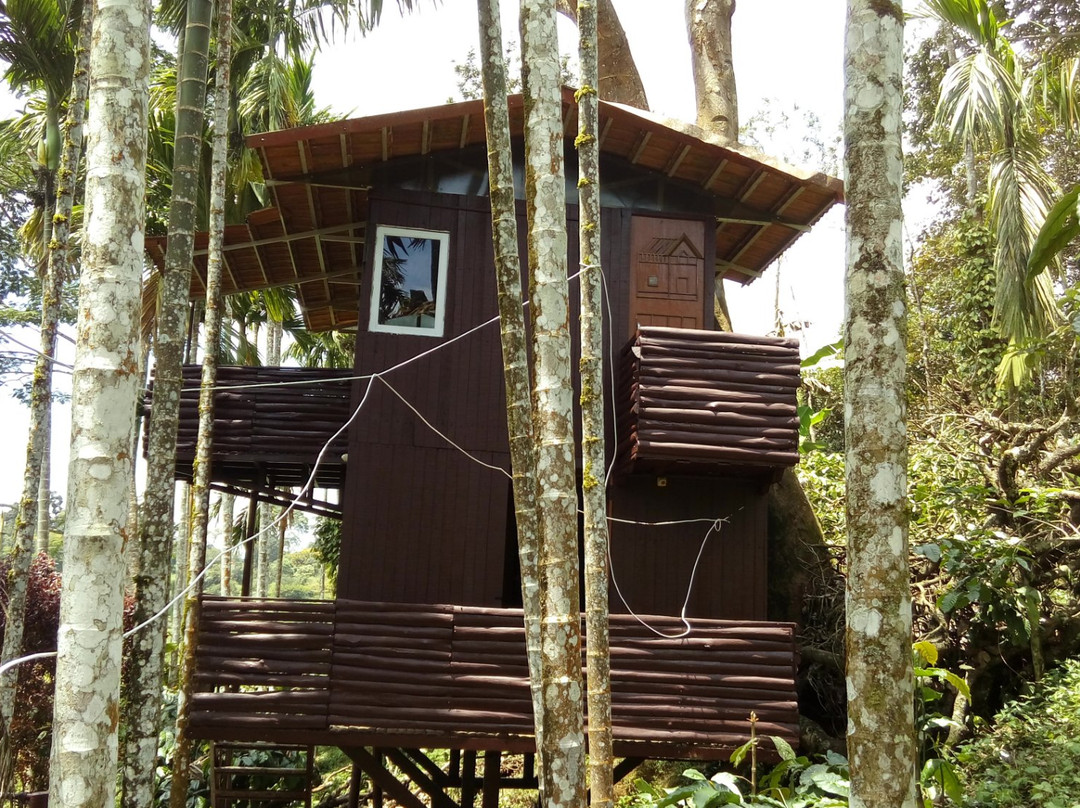 The Bliss Coorg