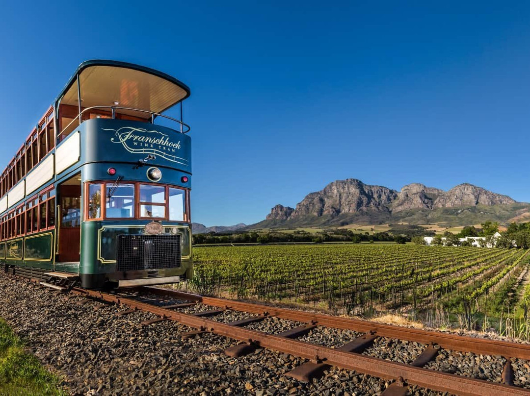 Franschhoek Wine Tram-法兰舒克必去景点