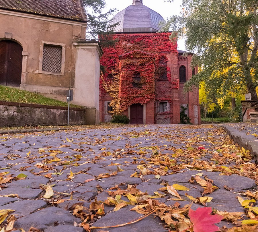 Historischer Nikolaifriedhof景点图片