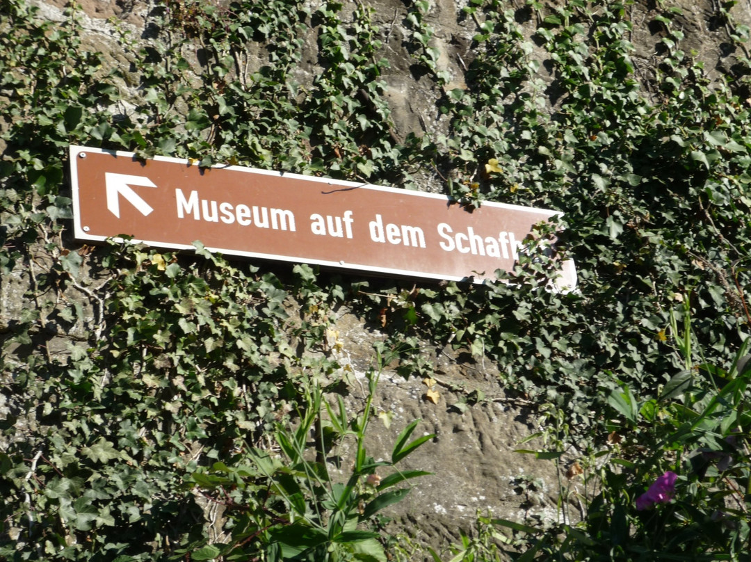 Museum auf dem Schafhof景点图片