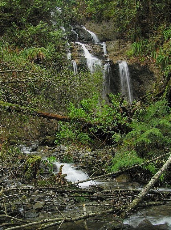 Beach Estates Park-纳奈莫必去景点