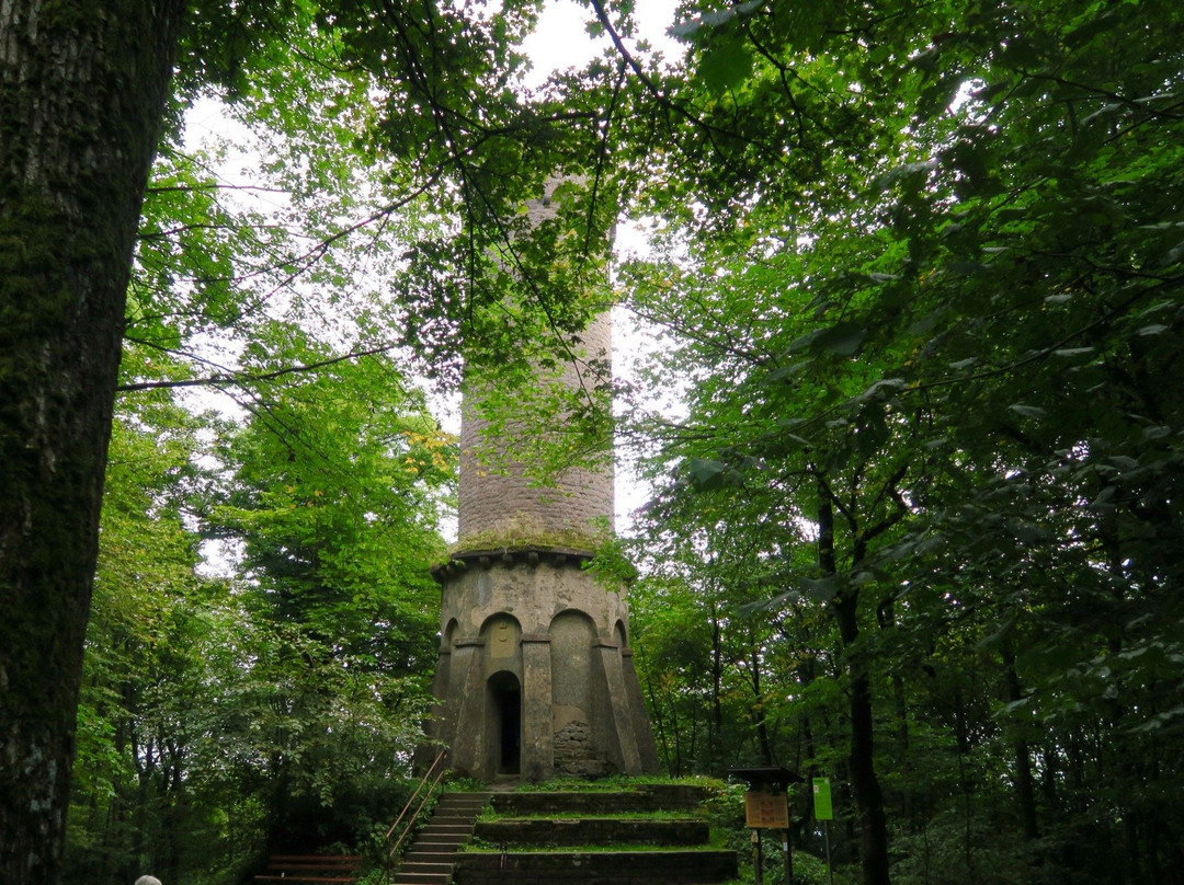 Katzenbuckel Observation Tower景点图片