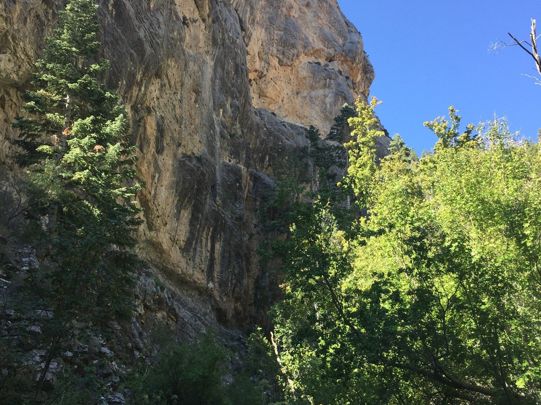 Spring Mountains Visitor Center-Mount Charleston必去景点
