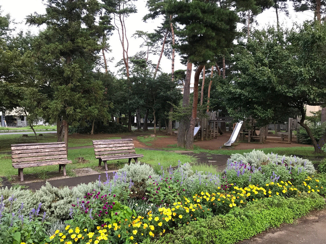 Matsumi Park-筑波市必去景点