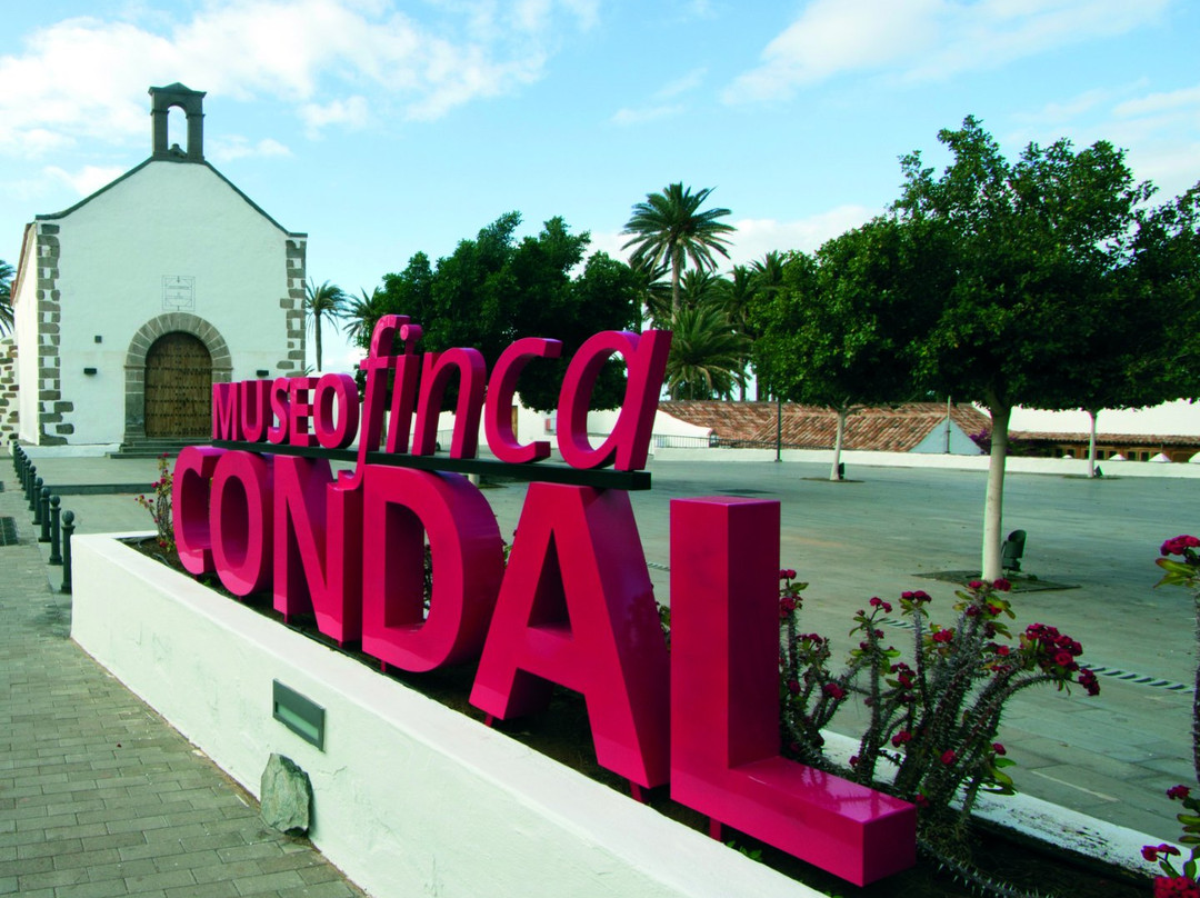 Finca Condal Vega Grande景点图片