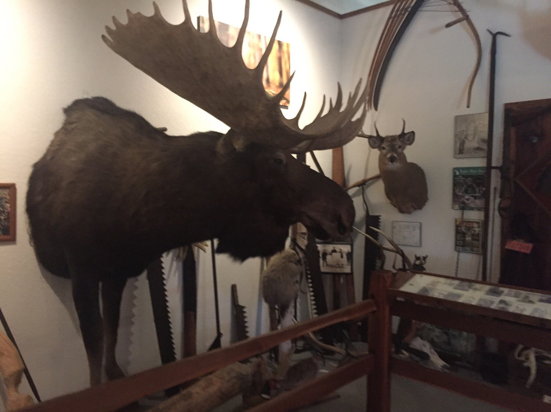Michigan Whitetail Hall of Fame Museum景点图片