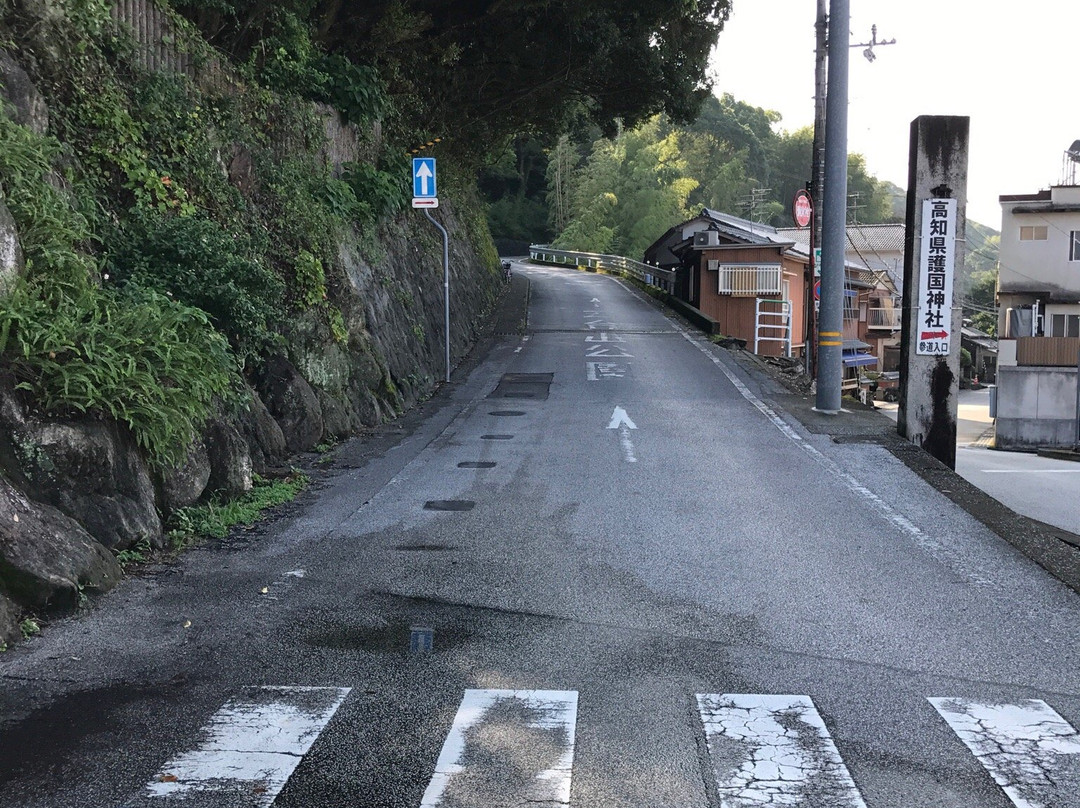 Godaisan Park-高知市必去景点