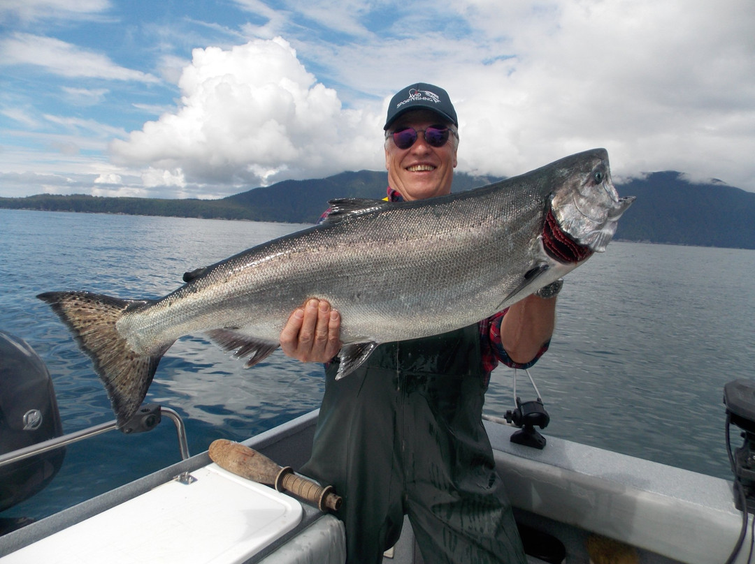 Avid Sportfishing-Sandspit必去景点