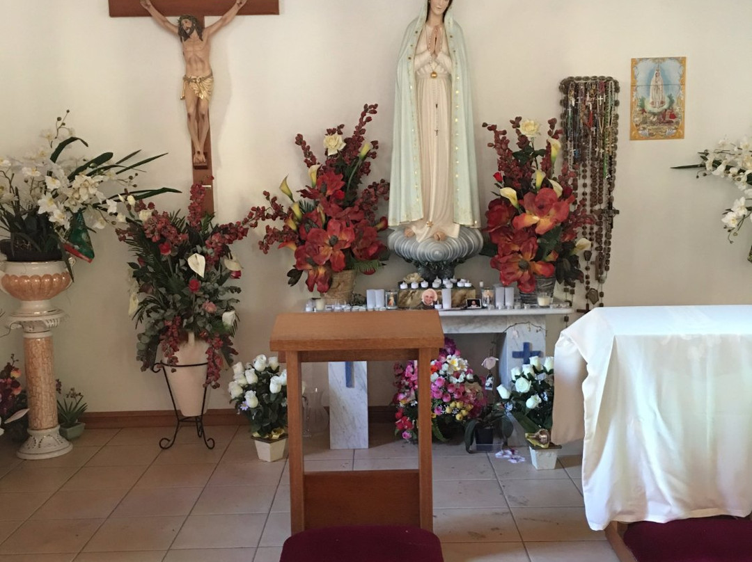 Shrine of Our Lady of Mercy景点图片