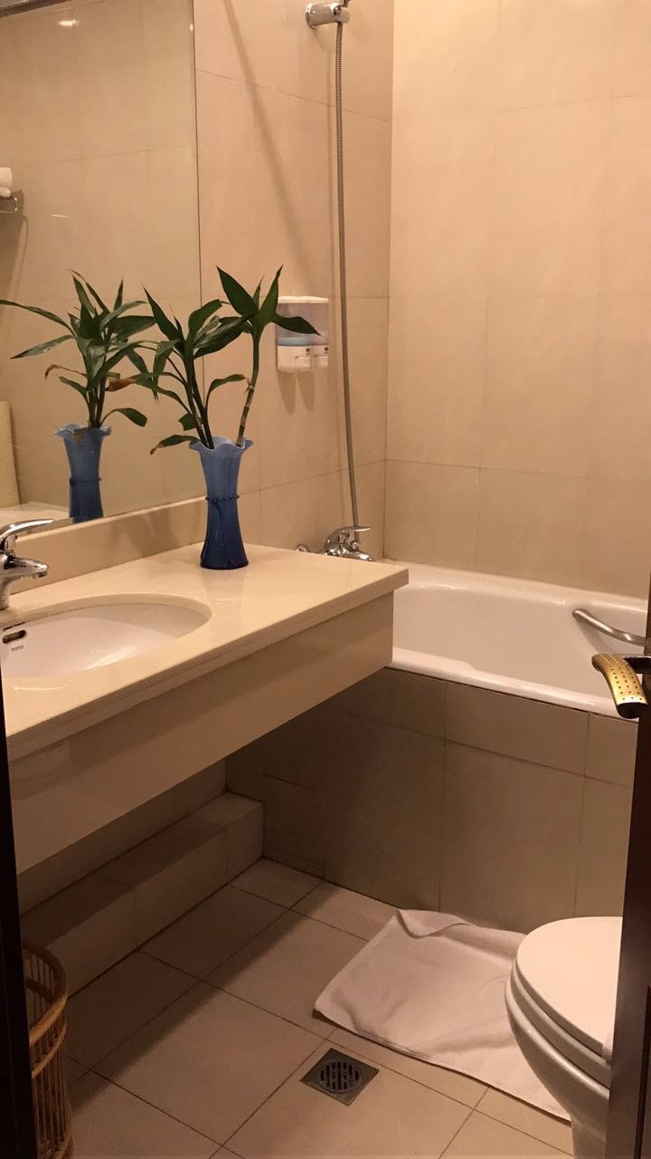 龙嘉国际机场宾馆-浴室