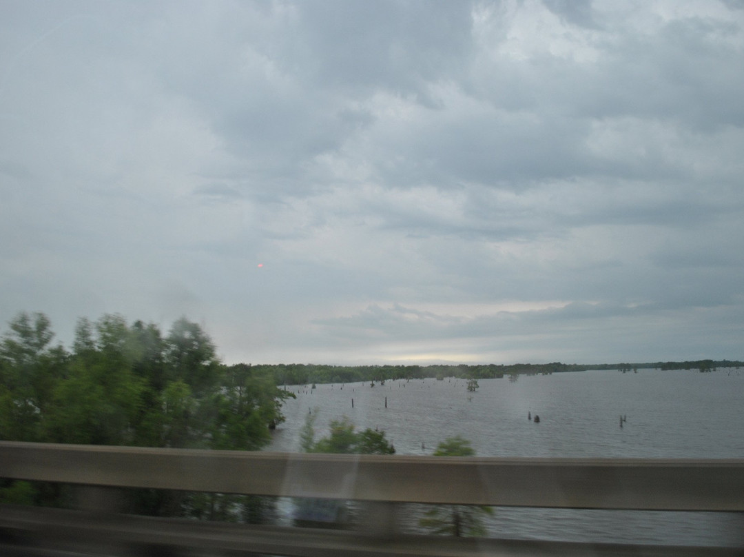 Atchafalaya Basin Bridge-巴吞鲁日必去景点