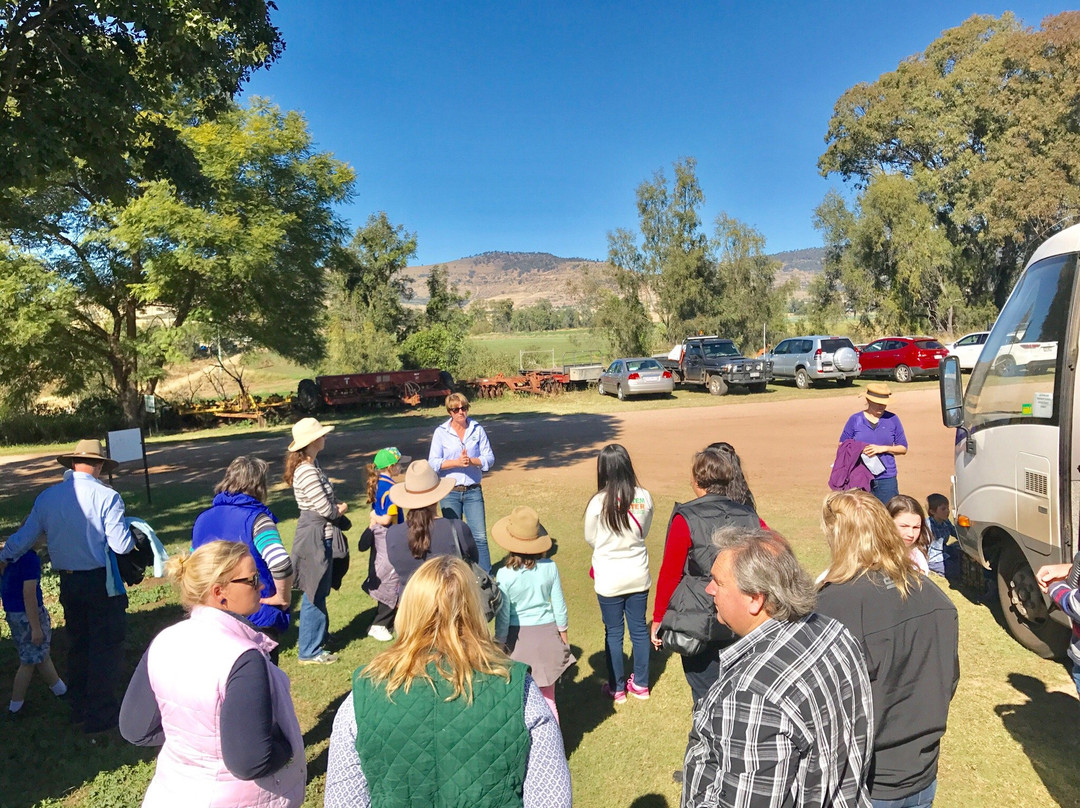 9Dorf Farms-Lilydale必去景点