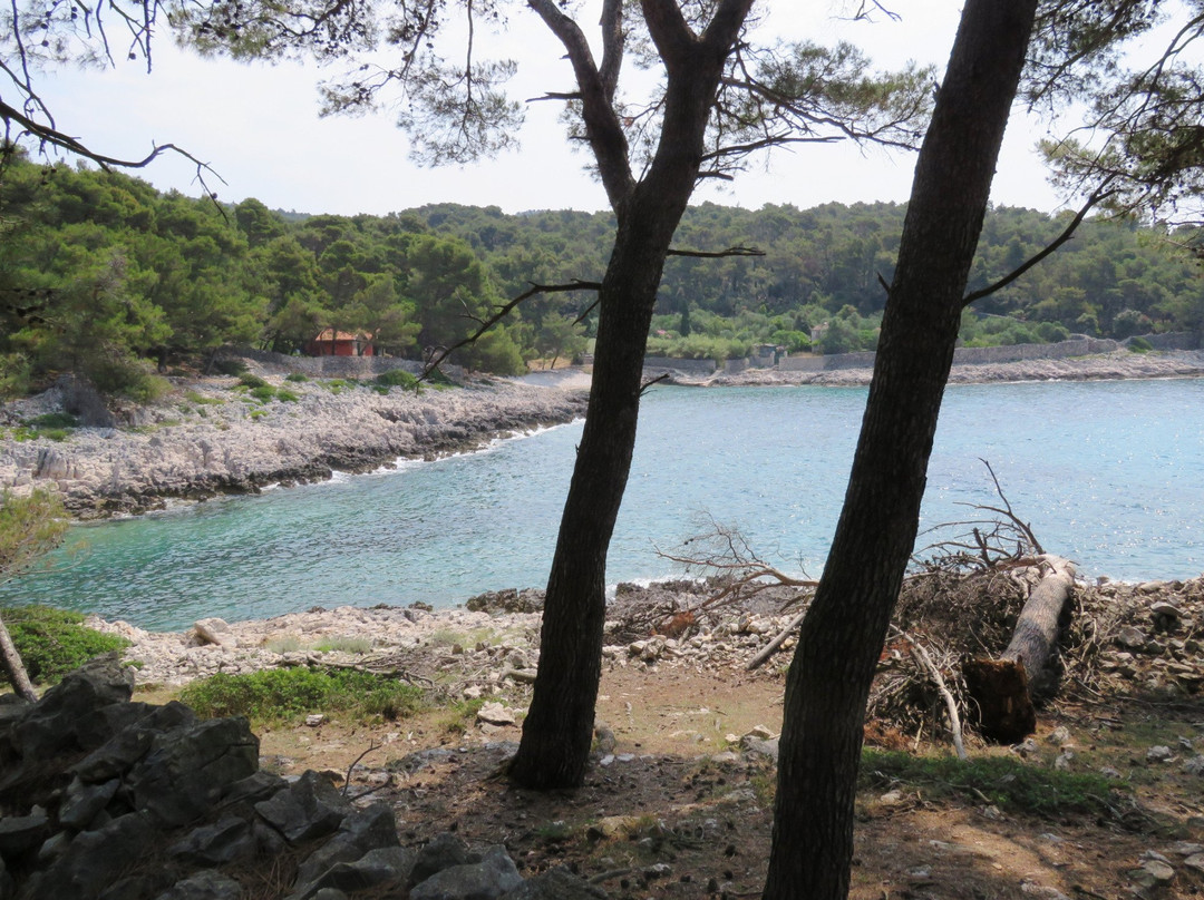 Spiaggia Naturista FKK景点图片