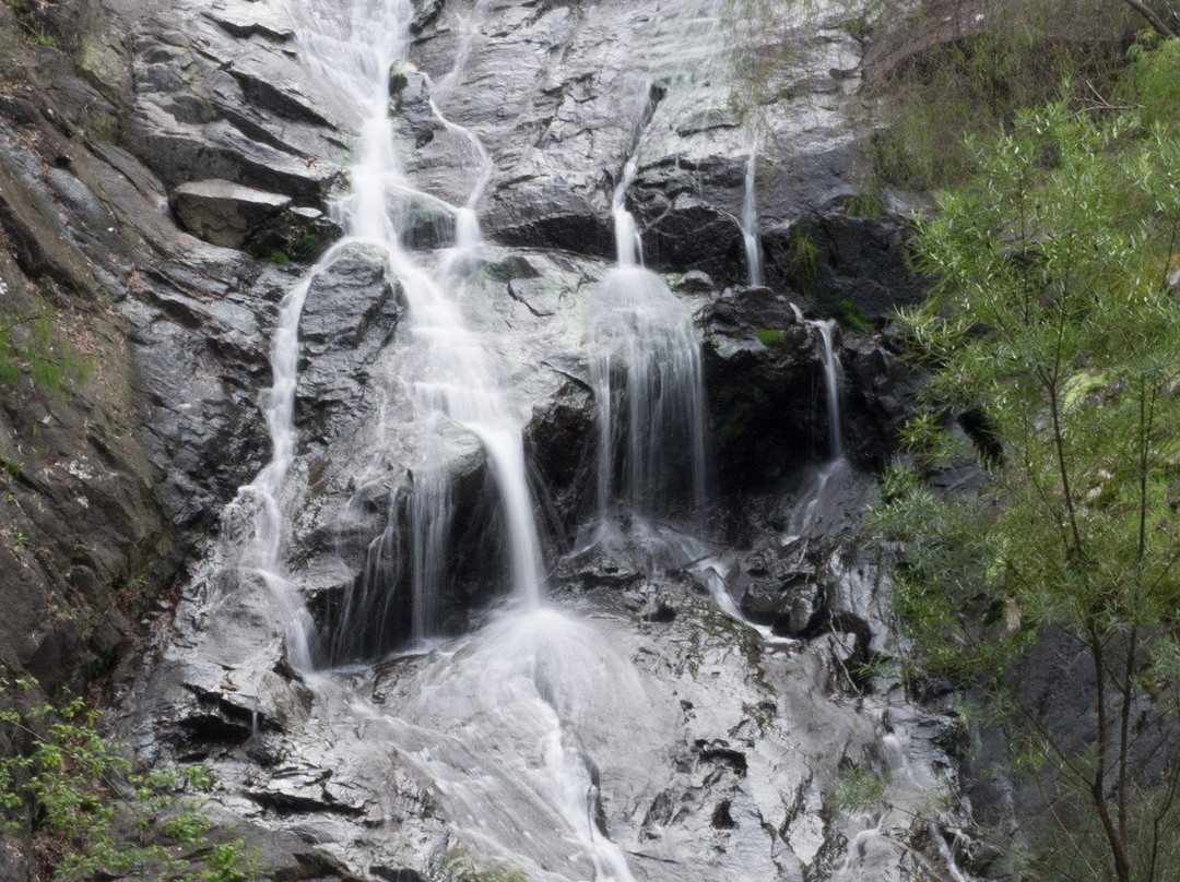 彭伯顿旅游攻略图片