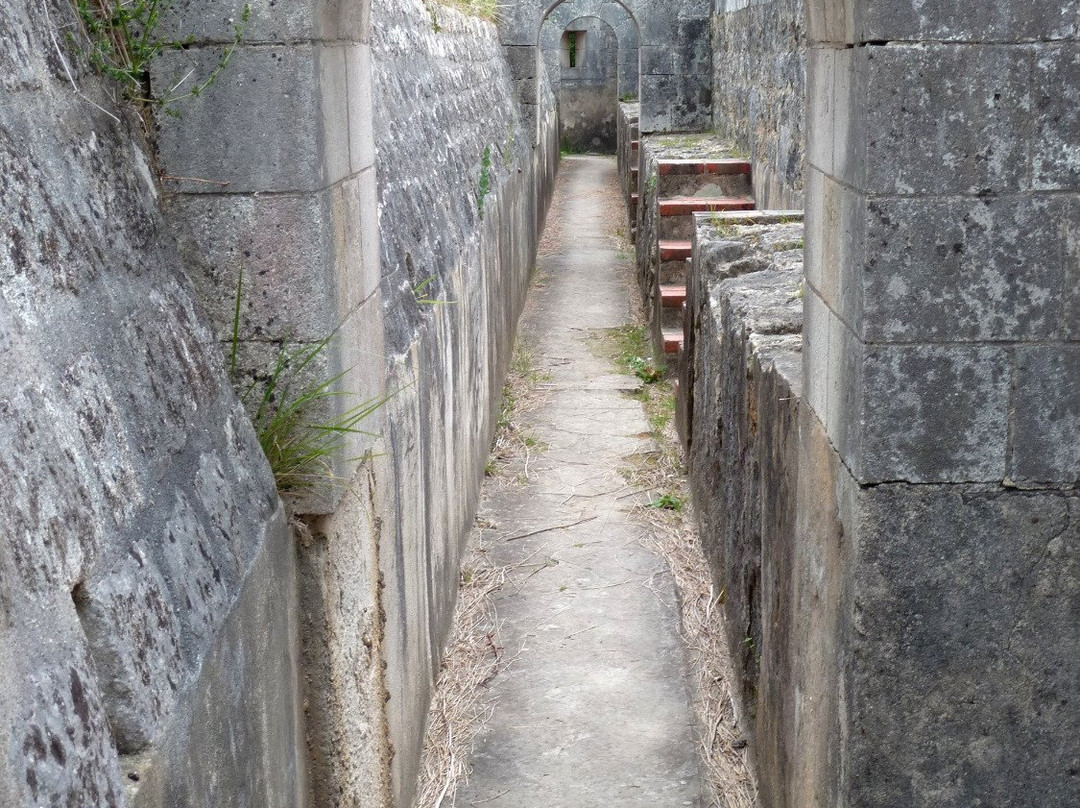 Ile d'Aix旅游攻略图片