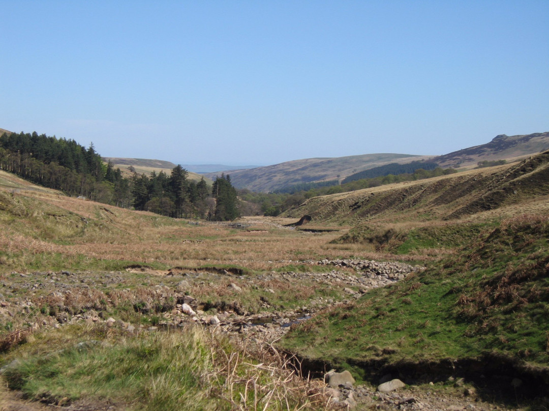 Cheviot Hills-Wooler必去景点