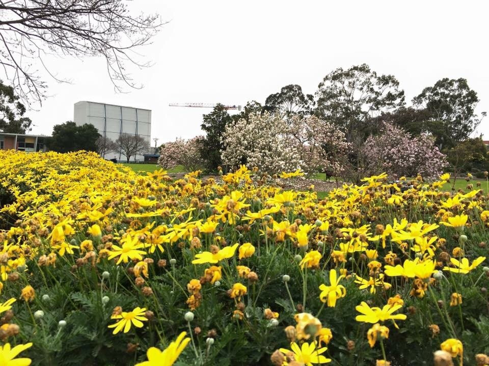 Ray Bramham Gardens景点图片