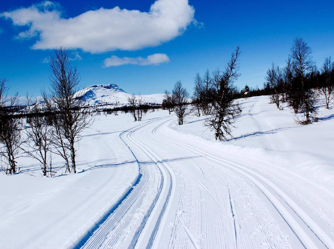 Lundes Turisthandel