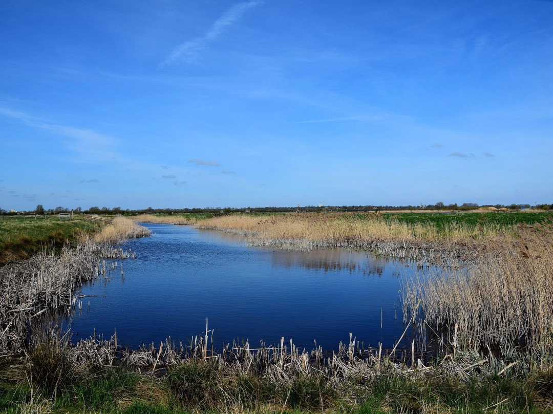 The Hanson-RSPB Wetland Project Ouse Fen Nature Reserve景点图片