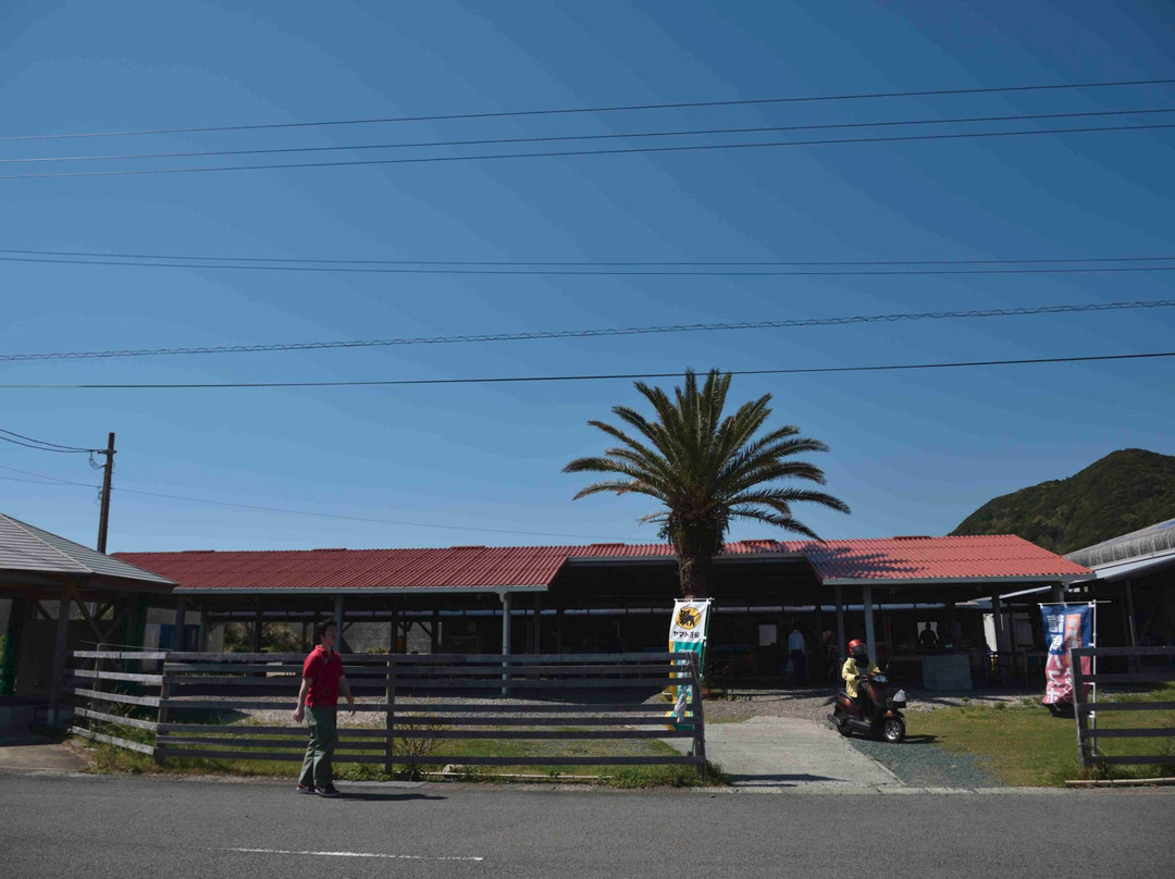 Toromu Michi-no-Eki-室户市必去景点