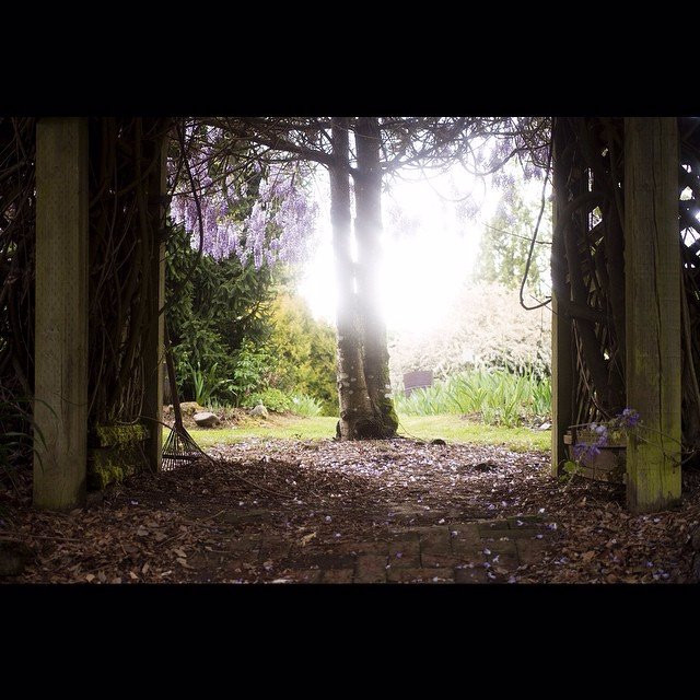 Brooks Gardens Peonies-Brooks必去景点